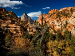 UTAH Zion National Park